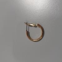CS891/2024 ORECCHINO DORATO